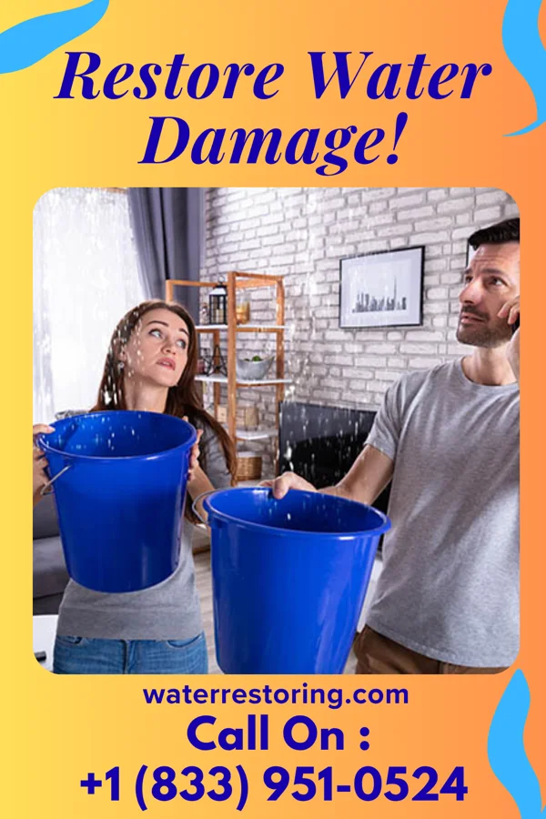 water restoration Pinnacle Water Repair Brothers Keystone Heights