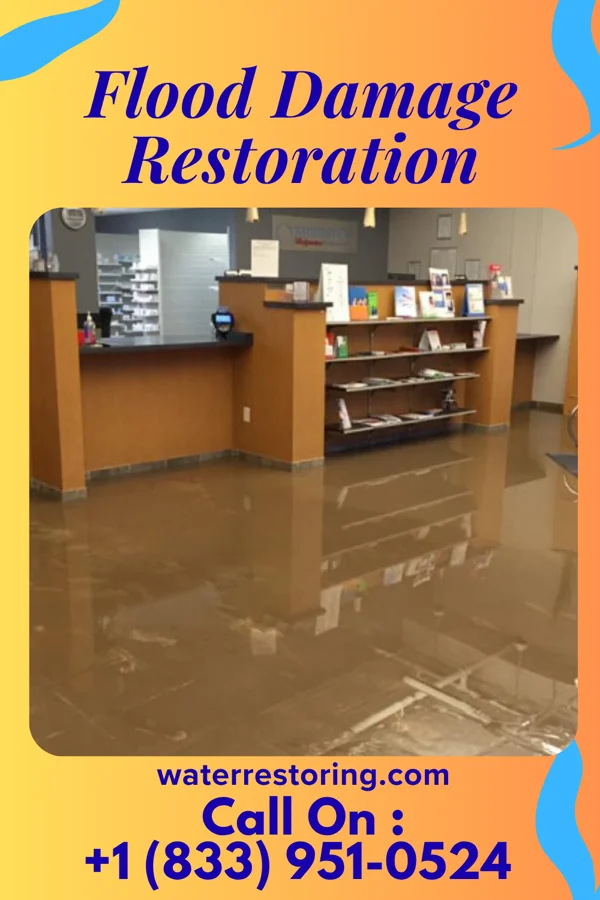 Flood Damage Restoration in Keystone Heights, FL